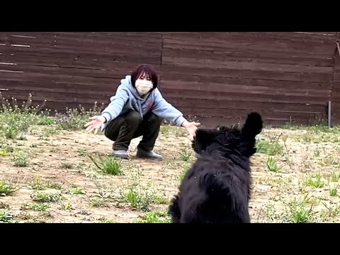 スタンプーのショコラお嬢様、初めてのお外デビューにみんな大興奮！(YouTube)