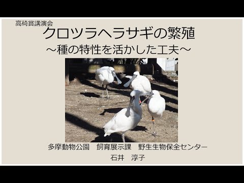 第57回高碕賞受賞「クロツラヘラサギの繁殖──種の特性に合わせた工夫」(YouTube)