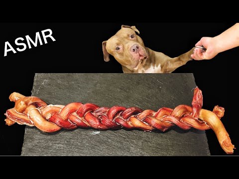 ヤバすぎる物を無我夢中でかじるピットブルの咀嚼音がクセになる(YouTube)