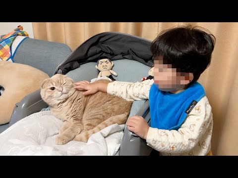 My son asking the cat to step out of the baby’s bed(YouTube)