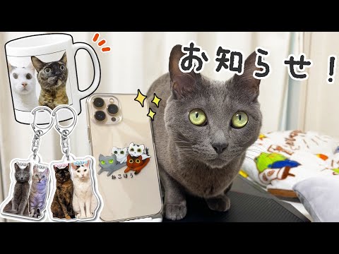 ねこほうグッズ第4弾スマホケースなど完成しました！(YouTube)