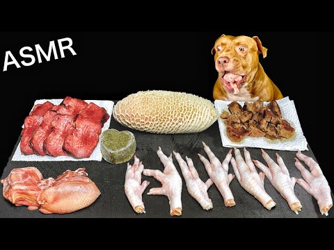 【閲覧注意ASMR】最強な犬ピットブルが生肉を飲みまくって止まらないw(YouTube)