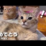 超嬉しいお知らせ！(YouTube)
