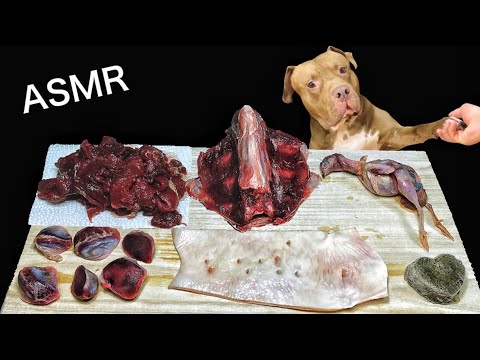 【ASMR】牛の血管や鹿の骨をボリボリ食べる犬の咀嚼音がクセになる(YouTube)