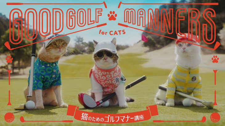 木に登ってはいけませんニャ！猫がゴルフをする時に気をつけたい15個のマナーを動画で紹介(ブログ)