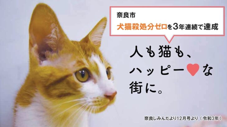 奈良市が犬猫の殺処分ゼロを3年連続で達成、ふるさと納税を活用した新たな取り組みも開始(ブログ)