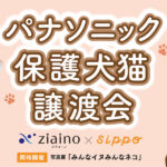 パナソニックが日本最大規模のイヌネコ譲渡会を開催！約350頭の保護猫＆保護犬が参加するニャ(ブログ)