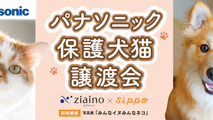 パナソニックが日本最大規模のイヌネコ譲渡会を開催！約350頭の保護猫＆保護犬が参加するニャ(ブログ)