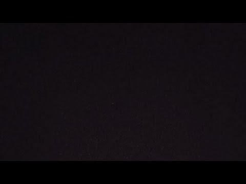 猫たちの大好きなおやつとマグロをあげる生配信！(YouTube)