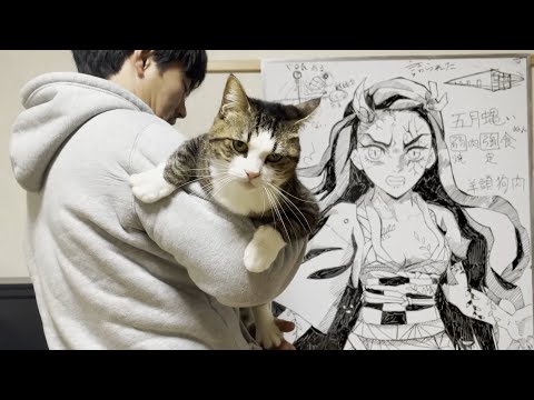 「本当はご飯が食べたいんです」と言い出せない猫(YouTube)