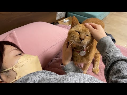 愛猫にいつまでも元気でいて欲しいから、外でも健康チェックできるアイテムを着けてみた！(YouTube)