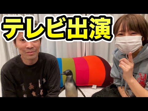 テレビ出演します！！(YouTube)