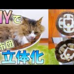 DIYで平たい座布団を半球体にリメイク♪ボス吉の立体猫ベッドが可愛くモコモコになりました♪(YouTube)