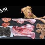 【ASMR】マニアックな食材を豪快に食べるピットブルの咀嚼音(YouTube)