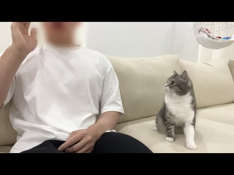 すぐ隣にいるのに名前を呼び続けたら猫の反応がかわいすぎましたw(YouTube)