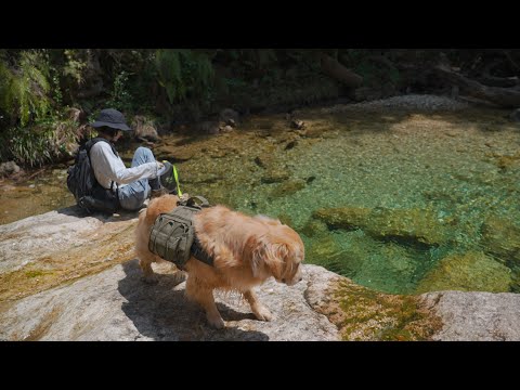 山で見つけた秘境で大興奮する愛犬と飼い主ww(YouTube)