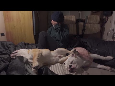 【悲報】愛犬と青森県弘前の桜観に行く予定が北に行き過ぎてしまいました…(YouTube)
