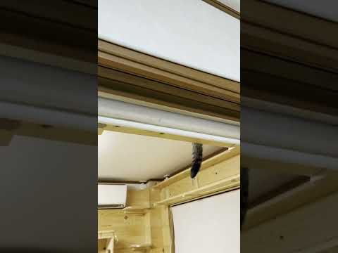 どっちが豆大福のしっぽ？ #Shorts(YouTube)