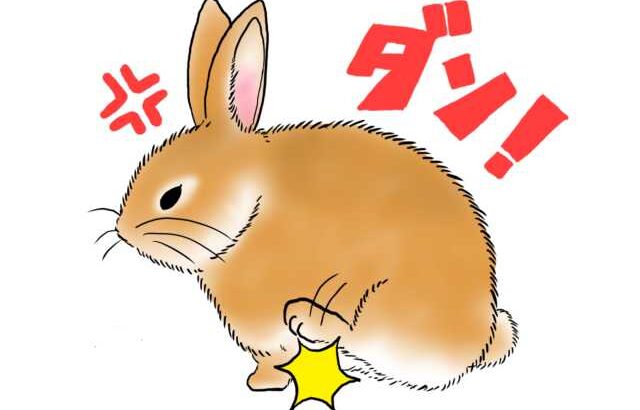 うさぎ用語集【１】(ブログ)
