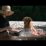大好きな川遊び中でもお肉となれば即刻中断する愛犬w(YouTube)