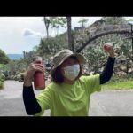 あつまれ動物のはなしLIVE(YouTube)