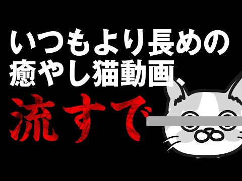 【猫動画】いつもより長めの癒やし猫動画、長すで〜にゃんともパレード〜#160(YouTube)