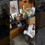 夜中にキッカがハロの遺影の前で何か伝えたがっているようです(YouTube)