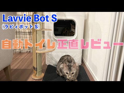 自動ネコトイレを半年間使って不便に感じたところ(YouTube)