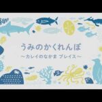 授業に活かせる動画集：うみのかくれんぼ～カレイのなかまプレイス～(YouTube)