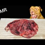 豚の心臓や骨を噛み砕く咀嚼音で確実に眠くなる【閲覧注意ASMR】(YouTube)