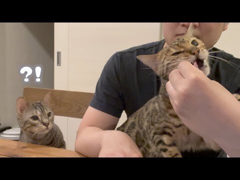 抜け駆けされたルトの反応がもう人間なのよ…(YouTube)