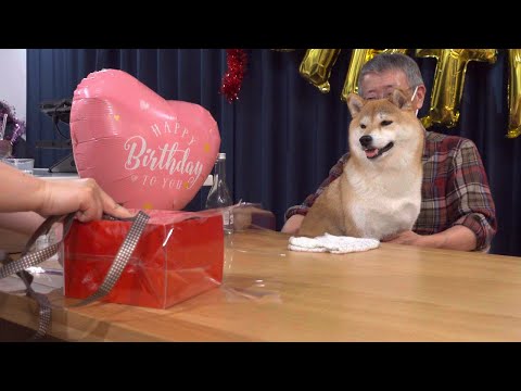 長女の誕生日を自分の誕生日と勘違いする兄柴がかわいい。(YouTube)