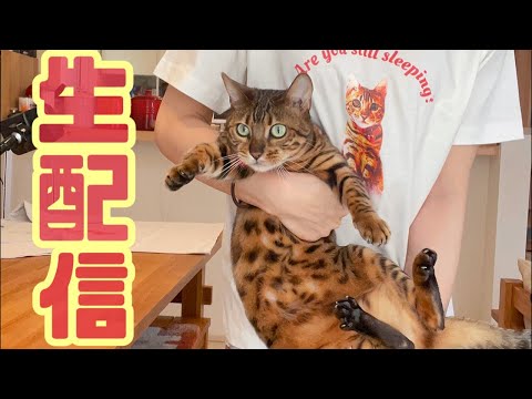 【ランチ生配信5/4】GWの半ばにベルテトからお知らせがある様です生配信(YouTube)