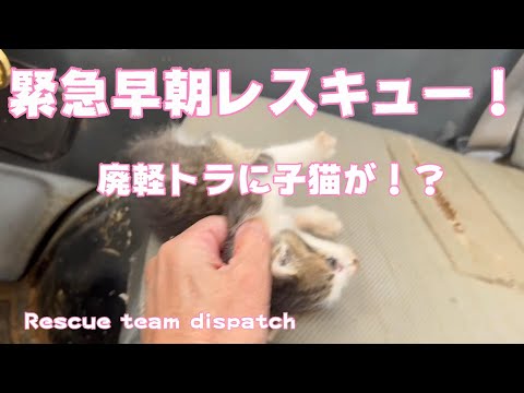 早朝緊急レスキュー　廃車に子猫⁈　Rescue team dispatch(YouTube)