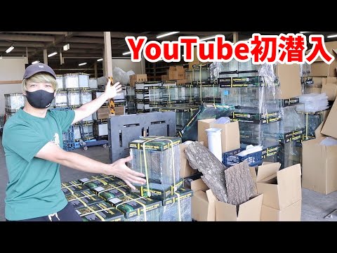 【プレゼントあり】爬虫類用品を扱う会社の倉庫に行くと新商品がずらり(YouTube)