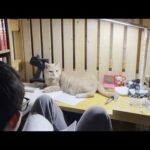 2日ぶりに再会した息子の傍から離れようとしない猫(YouTube)
