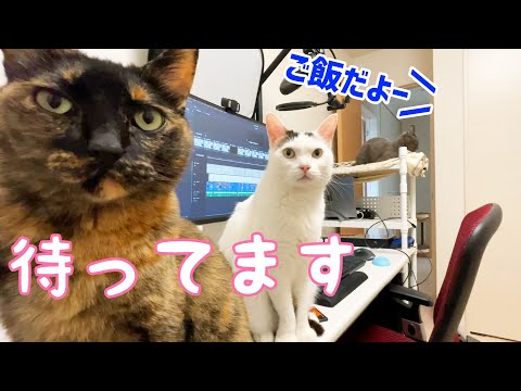 ママにご飯圧をかけてるときにパパがご飯の準備をしたら…？(YouTube)