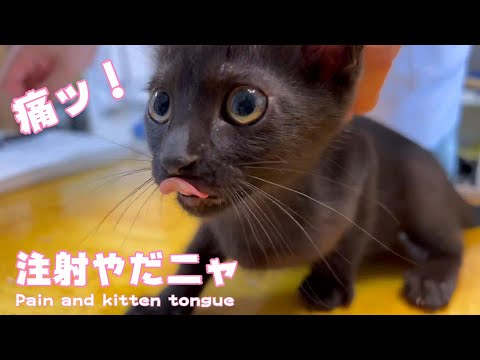 痛ッ！注射嫌い！(YouTube)