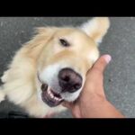 みんなおはよう〜(YouTube)