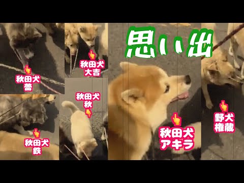 古き良き思い出、、、(YouTube)