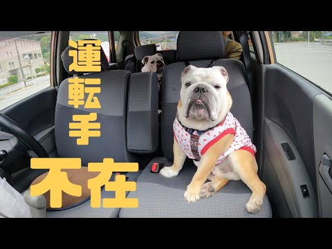 楽しみにしていたドライブも目的地到着後5分で帰宅となりました…(YouTube)