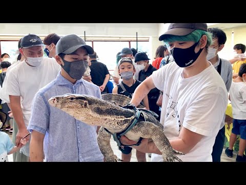 ベタ慣れのオオトカゲをイベントに連れて行くと・・・(YouTube)