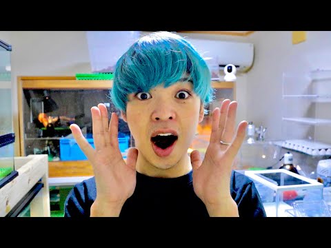 ふぁー⤴︎⤴︎⤴︎信じられない感動！(YouTube)