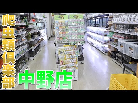 【東京】日本最大級の爬虫類ショップがヤバすぎる！！(YouTube)