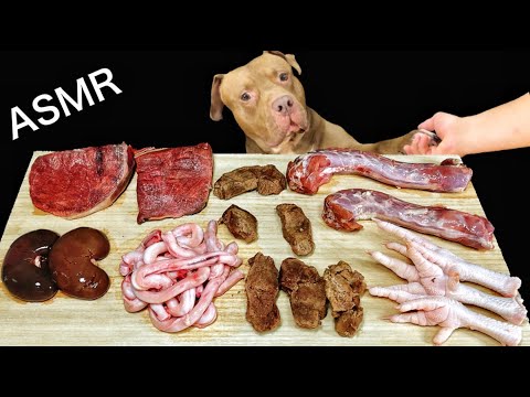 【閲覧注意ASMR】骨を噛み砕くピットブルの咀嚼音で脳が癒される(YouTube)