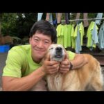 動物にスイカanimal eat watermelon(YouTube)