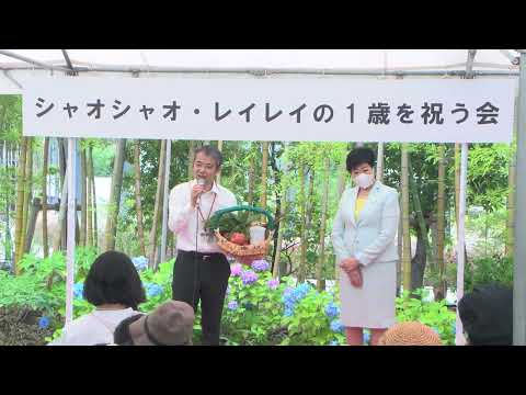 シャオシャオ・レイレイの1歳を祝う会のようす　2022年6月20日撮影(YouTube)