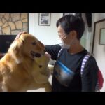 ５年越しに沖縄のばぁばと感動の初対面を果たしました(YouTube)