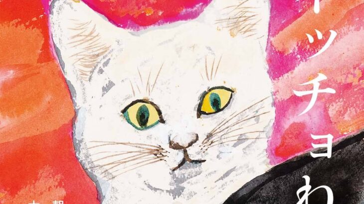 虫を飲み込んだネコのおはなし、名作絵本『スイッチョ猫』の新装版が登場！挿絵の原画パネル展も開催(ブログ)