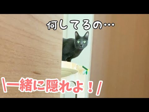 かくれんぼでまさかのハムちゃんも参戦！！(YouTube)